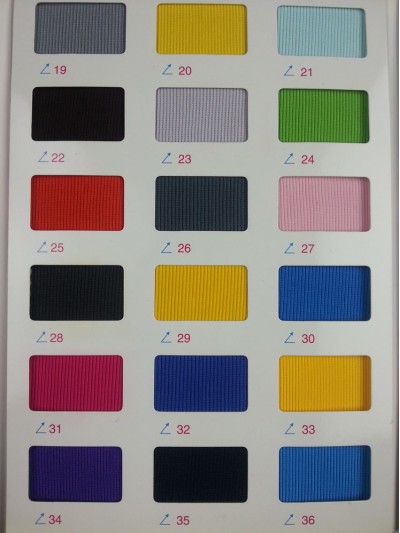 GZ-CIWI  2*2羅紋  NT-D304  380G 正面照